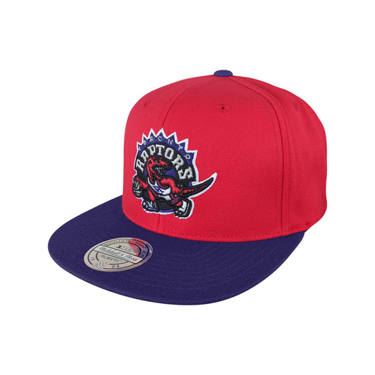 NBA Wool 2 Tone 110 F Snapback HWC Toronto Raptors