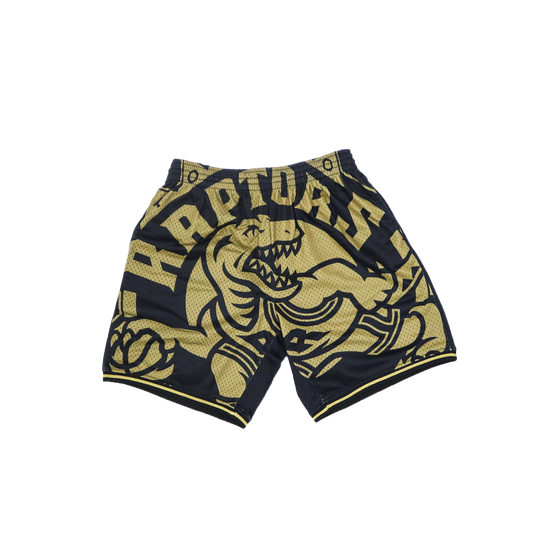 NBA Big Face Shorts Toronto Raptors - Black Gold
