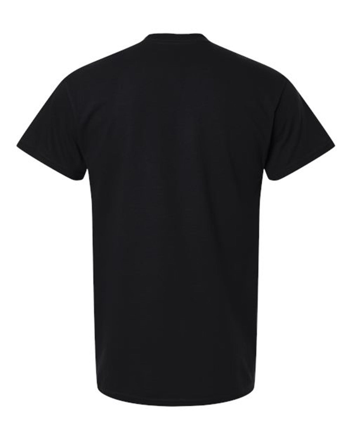 5000 Unisex Heavy Cotton™ T-Shirt