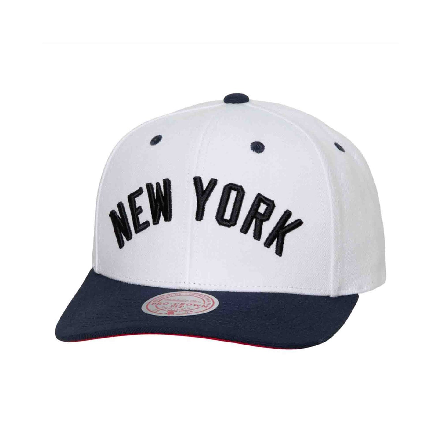 MLB Evergreen Pro Snapback Coop New York Yankees