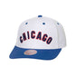 MLB Evergreen Pro Snapback Coop Chicago Cubs