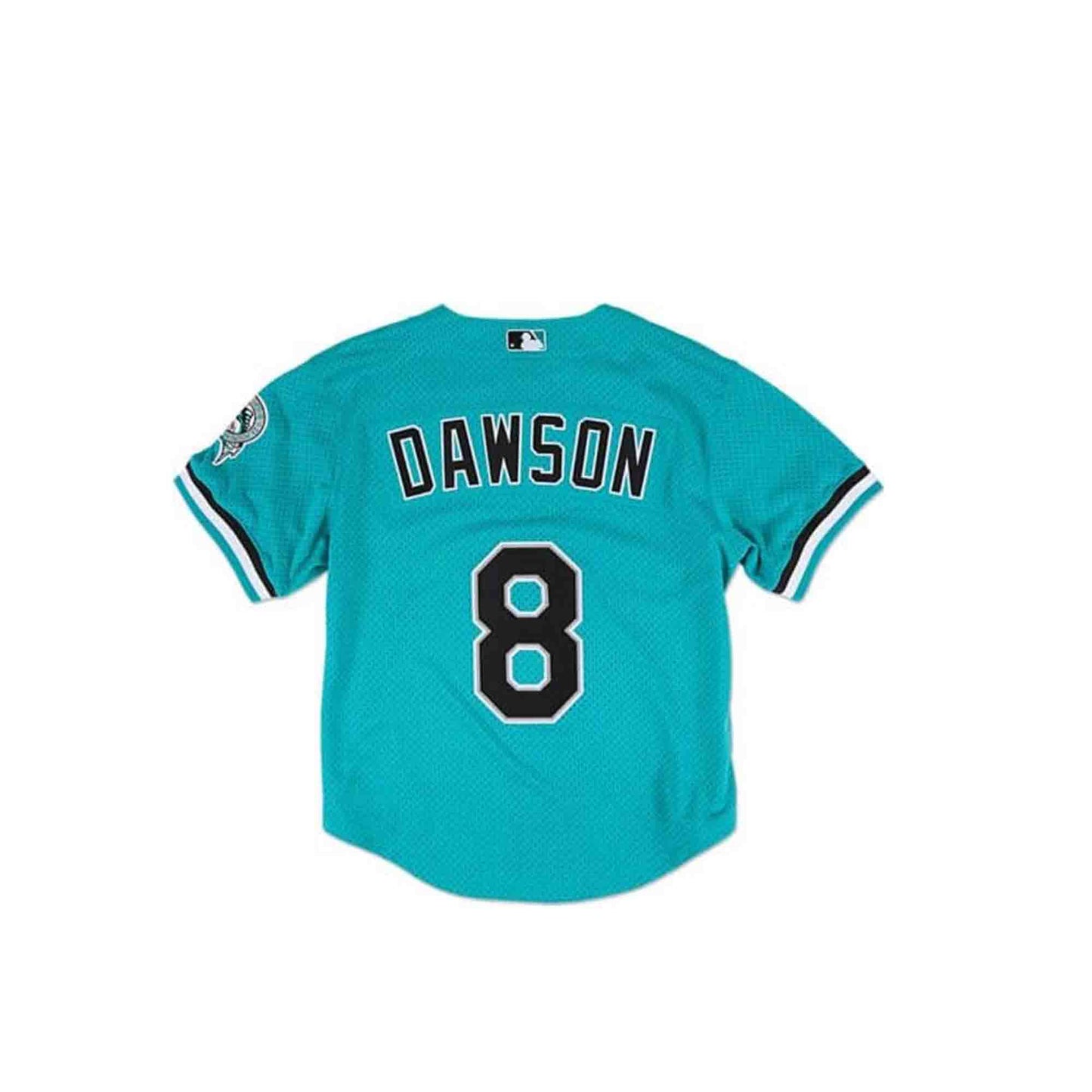 MLB BF Jersey Florida Marlins Andre Dawson