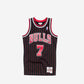 NBA Swingman Jersey Chicago Bulls 1995-96 Toni Kukoc #7