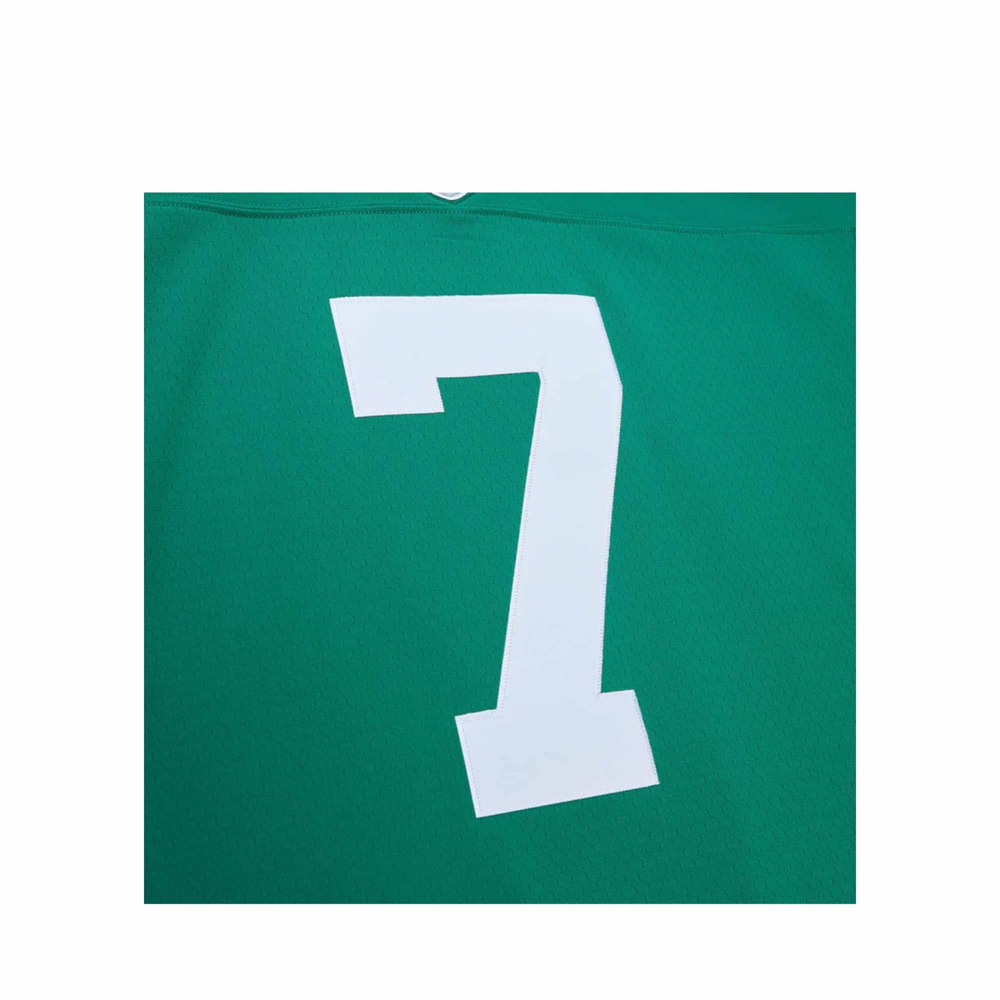 Men's Michael Vick Kelly Green Philadelphia Eagles 2010 Legacy Jersey