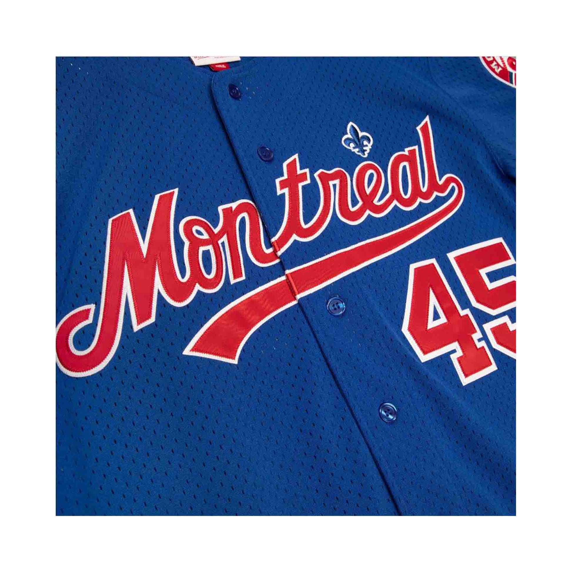 Mitchell & Ness Pedro Martinez Montreal Expos Gray Cooperstown Collection  Authentic Jersey