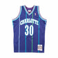 NBA Swingman Jersey Charlotte Hornets Alternate 1994-95 Dell Curry #30