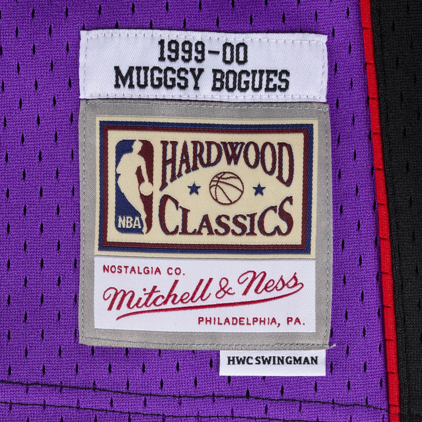 Men's Mitchell & Ness Muggsy Bogues Purple Toronto Raptors 1999-00
