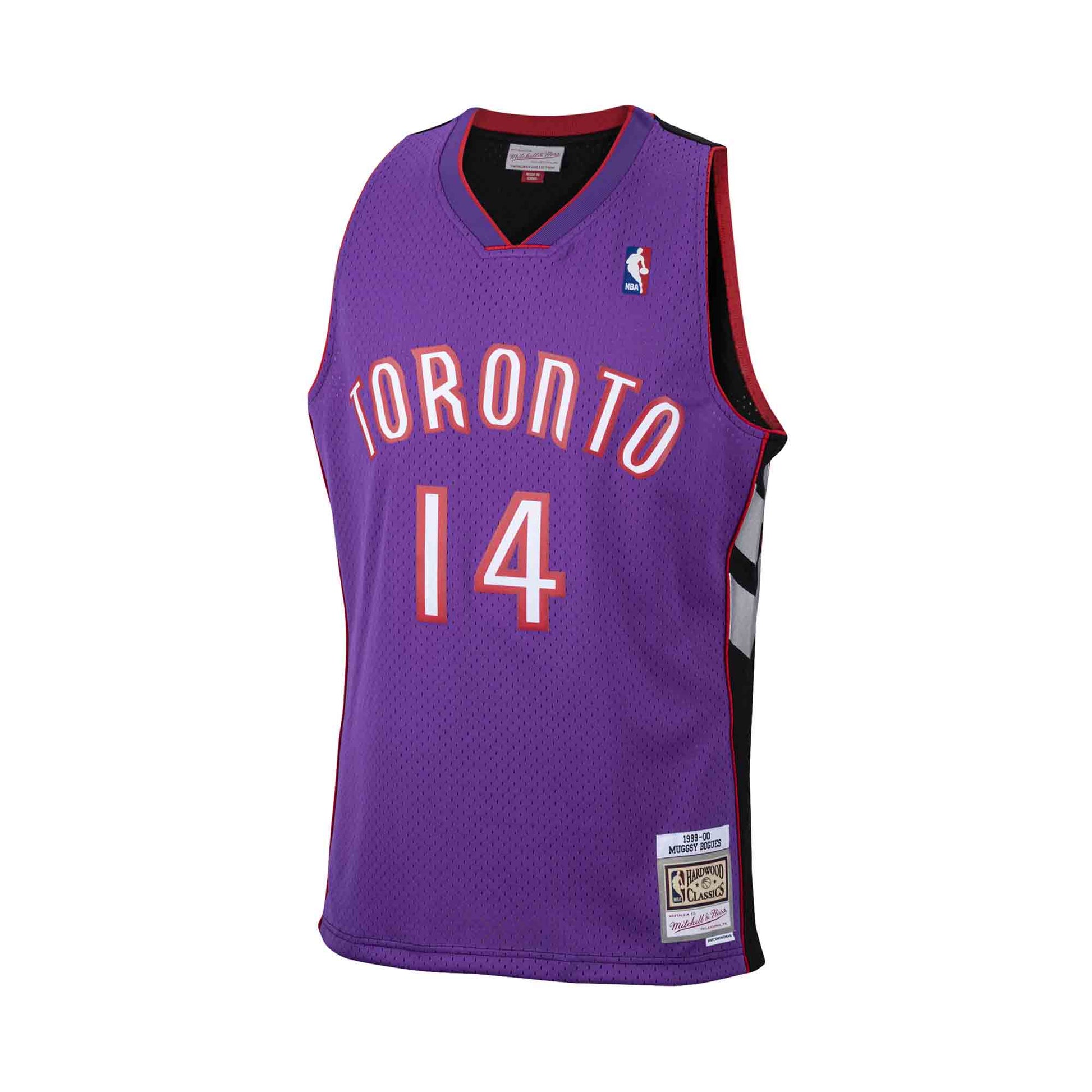 Toronto Raptors Jerseys & Gear.