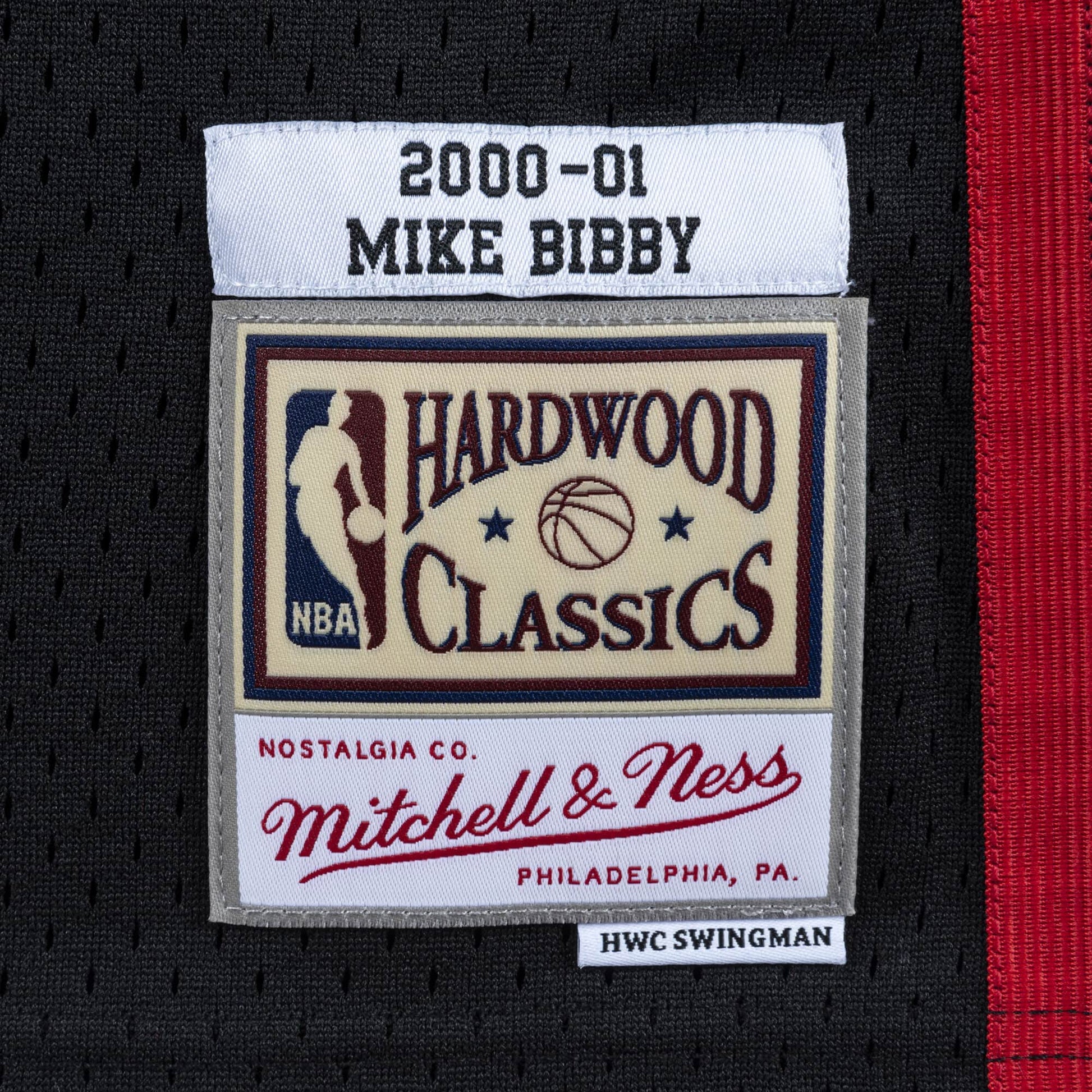 Swingman Jersey Vancouver Grizzlies 2000-01 Mike Bibby #10