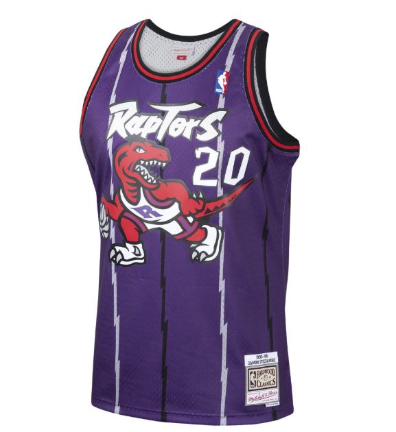 NBA Swingman Jersey Toronto Raptors 1995-96 Damon Stoudamire #20